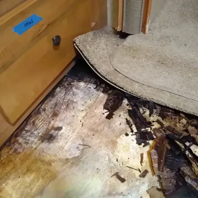 Best Wood Floor Water Damage Service in Clallam County, WA